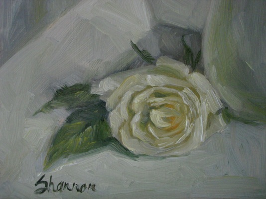 White rose oil painting study